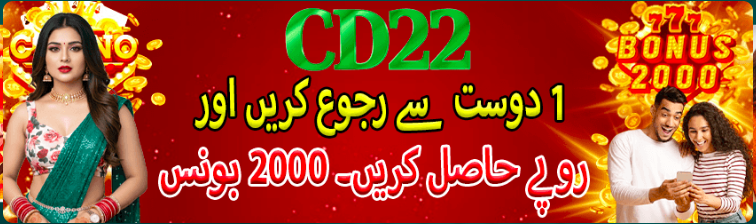 CD22 Game screenshot