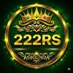 222rs game icon