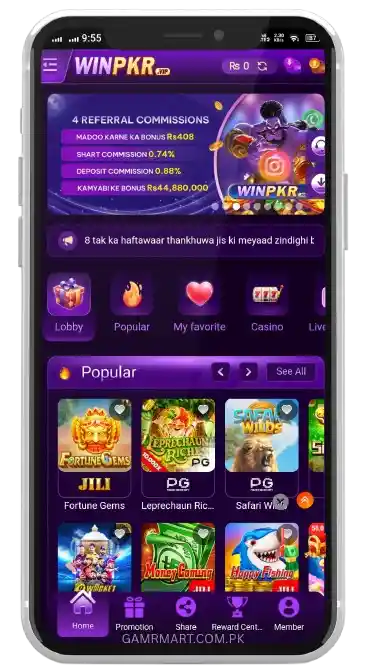 WinPKR game interface screenshot